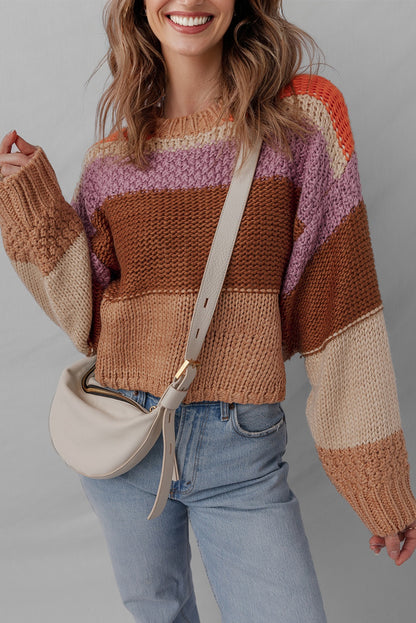 Multicolour Cropped Colorblock Drop Shoulder Knitted Sweater