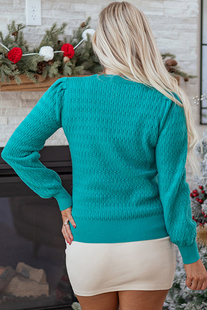Sea Green Trendy Pattern Knit Ribbed Cuffs Crew Neck Sweater