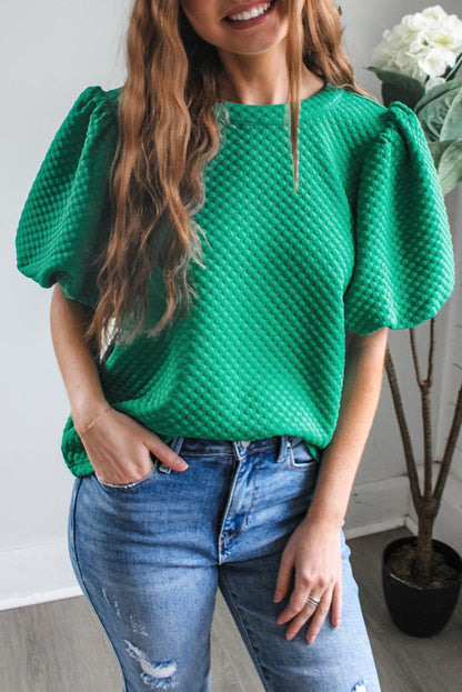 Phalaenopsis Solid Textured O Neck Puff Sleeve Blouse