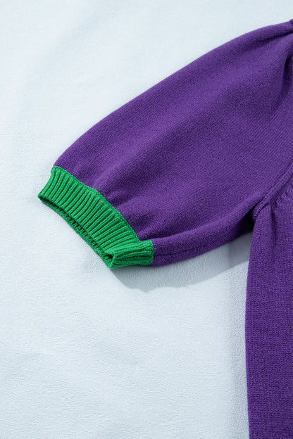 Tillandsia Purple Mardi Gras Tinsel Graphic Short Sleeve Sweater