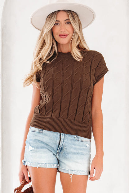 Dark Brown Cable Texture Crew Neck Short Sleeve Sweater Top