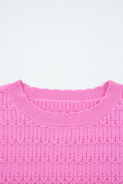 Bright Pink Trendy Pattern Knit Ribbed Cuffs Crew Neck Sweater