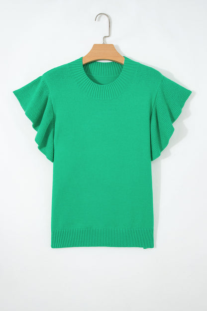 Beau Blue Solid Color Ribbed Trim Round Neck Ruffle Short Sleeve Sweater