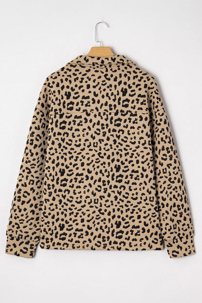 Parchment Leopard Polo Collar V Neck Pullover Top
