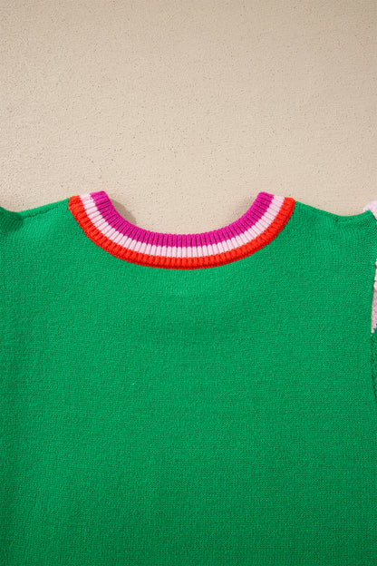 Bright Green Shiny Lucky Striped Flutter Sleeve Round Neck Sweater