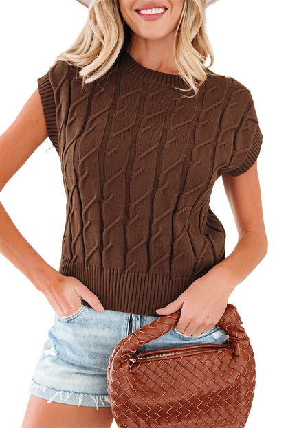 Dark Brown Cable Texture Crew Neck Short Sleeve Sweater Top
