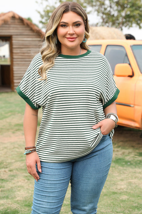 Green Stripe Trimmed Round Neck Plus Size Boxy Fit T-shirt